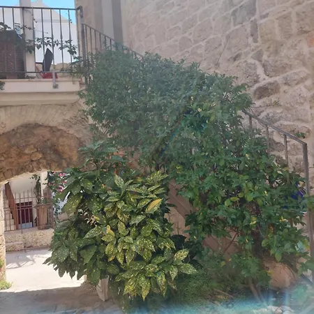 Daire More Gradac (Split-Dalmatia)